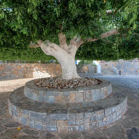 Creta Maris 5* Херсонісос