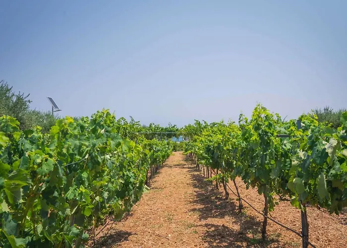 Creta Maris Hersonissos (Crete)