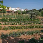 Creta Maris 5*