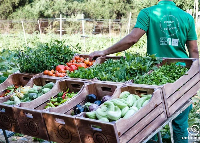 Creta Maris 赫索尼索斯