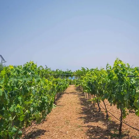 Creta Maris הרסוניסוס